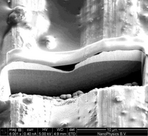 FIB cross-section showed interruption of plating